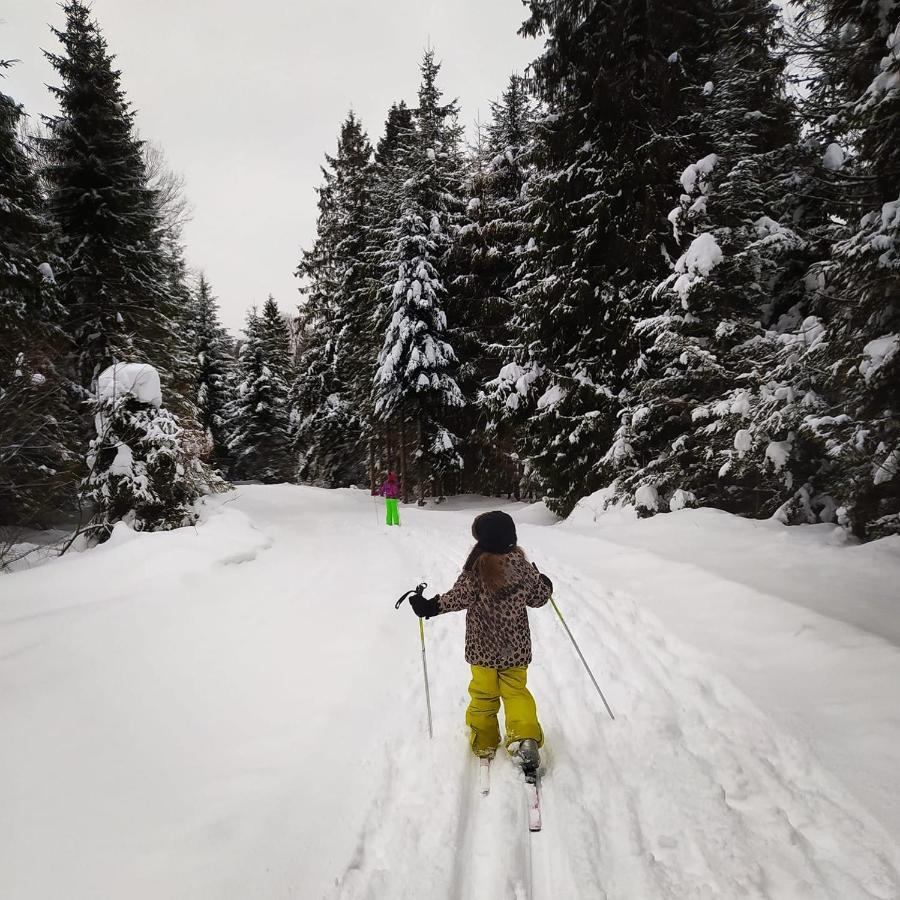 Wilcza Jama - Domki Z Bali Lutowiska Esterno foto